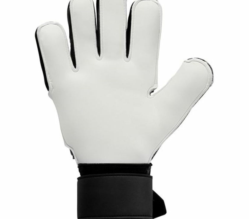 V5H10FF1EB6A8B17DC2DC32BDBAC56AACBAR4721795P2