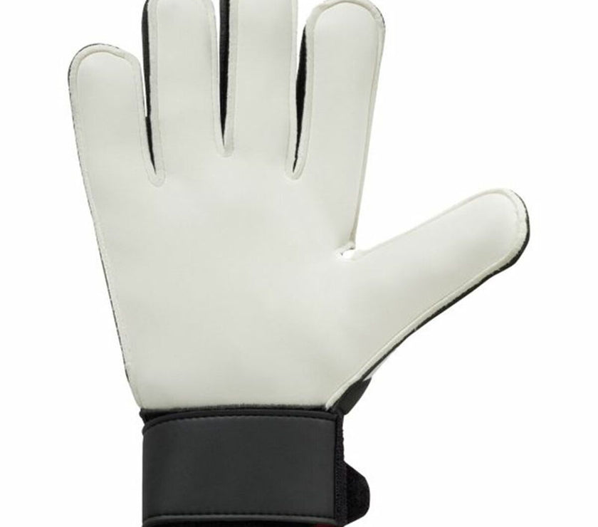 V5HDF0F3C3D9477C05B4D8CC56AFFD93EDCR4721821P4