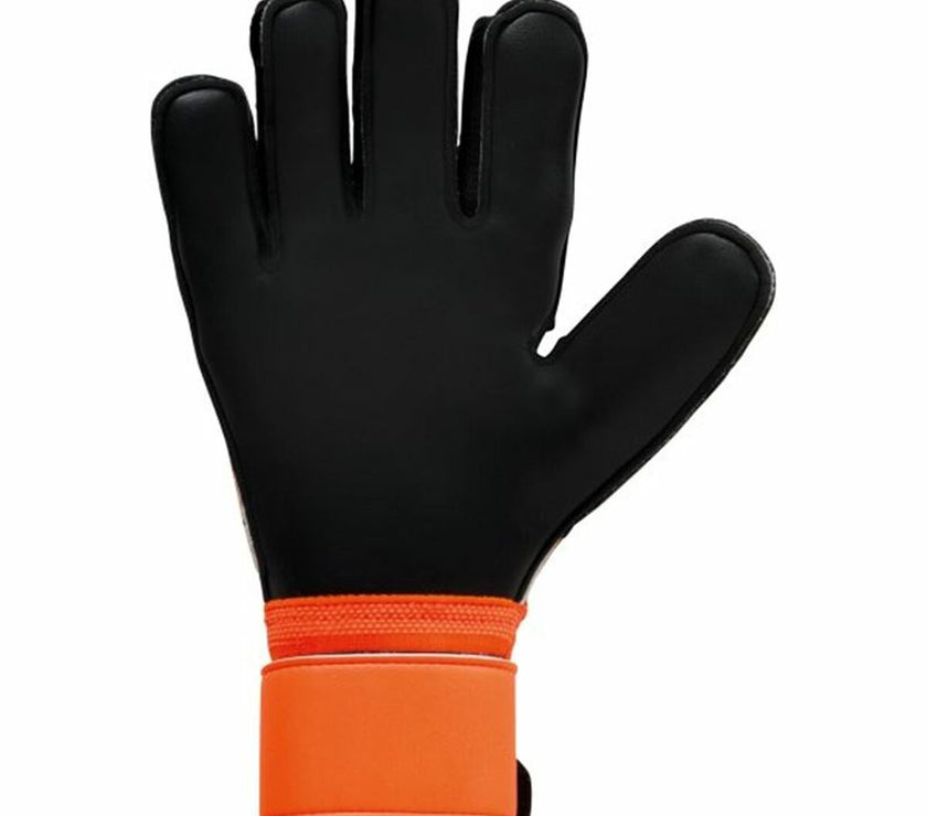 V5H2C89069EBD29E55ABBD8BAAD1316D4FFR4721828P2