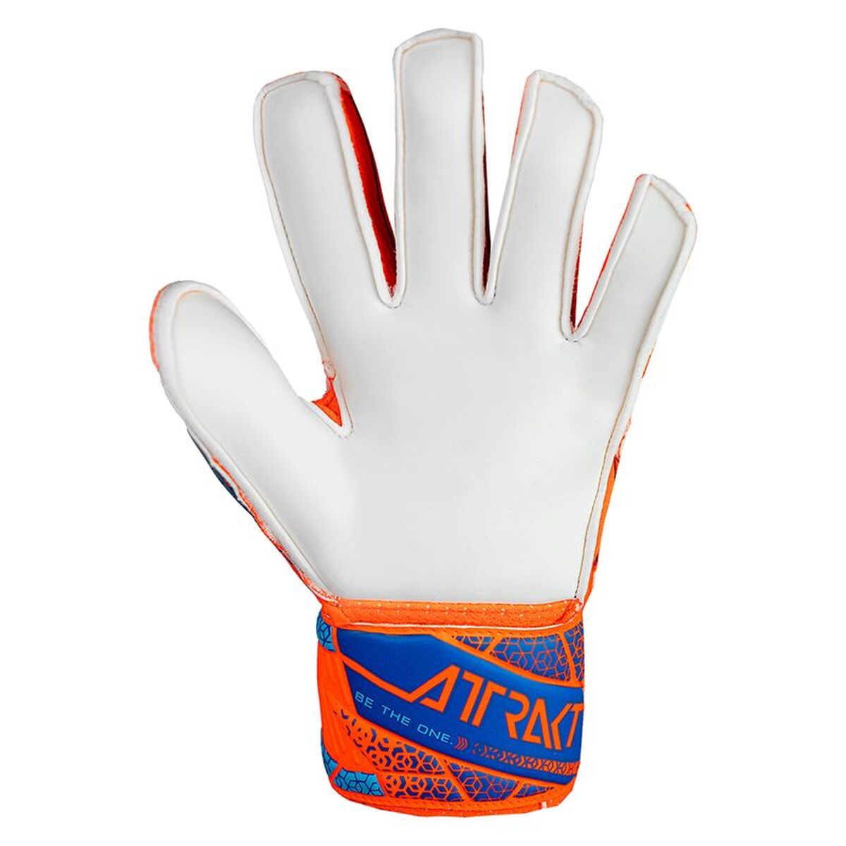 V2HF003689CF6BF0660174DD7E3E6AADD19R7646028P3