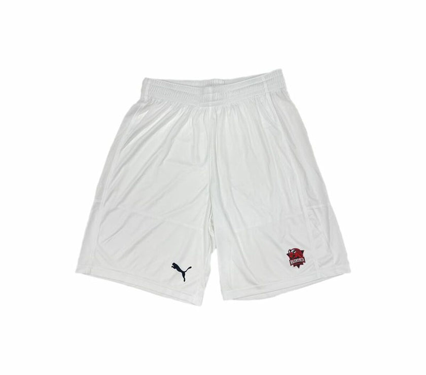 V7H8D6A8765E396A711D86D8F35B4EE3EDCR3993574P1