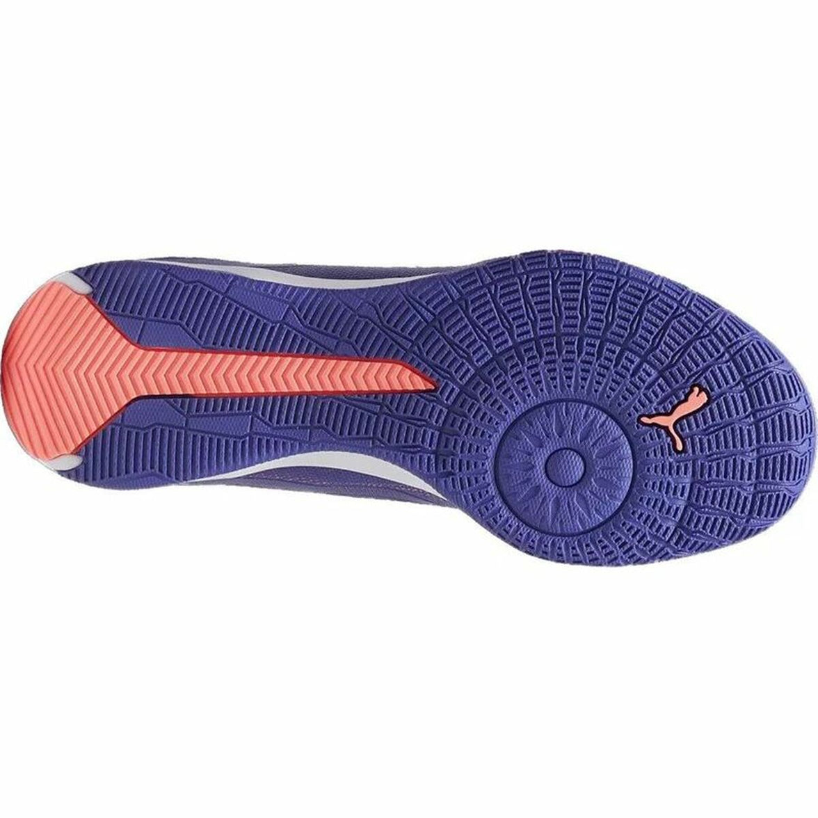 V9H6FDDD0F7E31CDD639E0C5C1B75FB4478R6632372P8