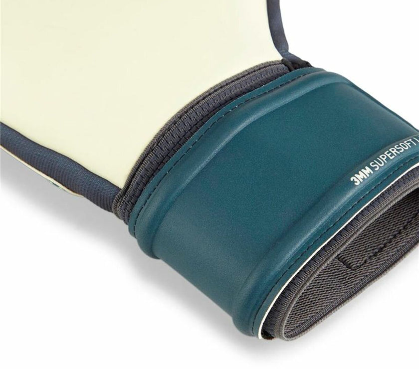 V5HC1F70009ABEE4B6801D6F8C40D78501AR5493789P4