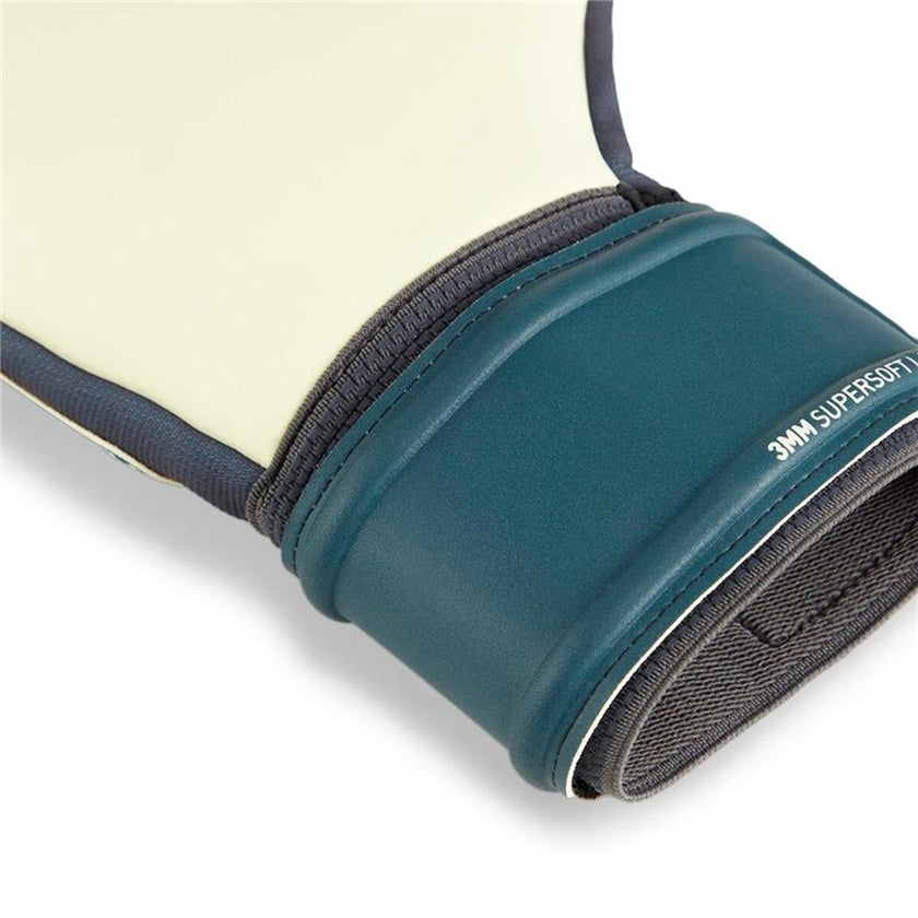 V5HC1F70009ABEE4B6801D6F8C40D78501AR5493789P4