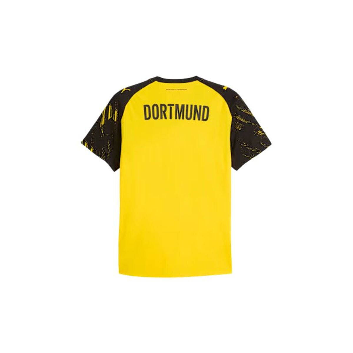 V2HA71C81EC45C397A75F643F5F0D4DBA34R7629390P2