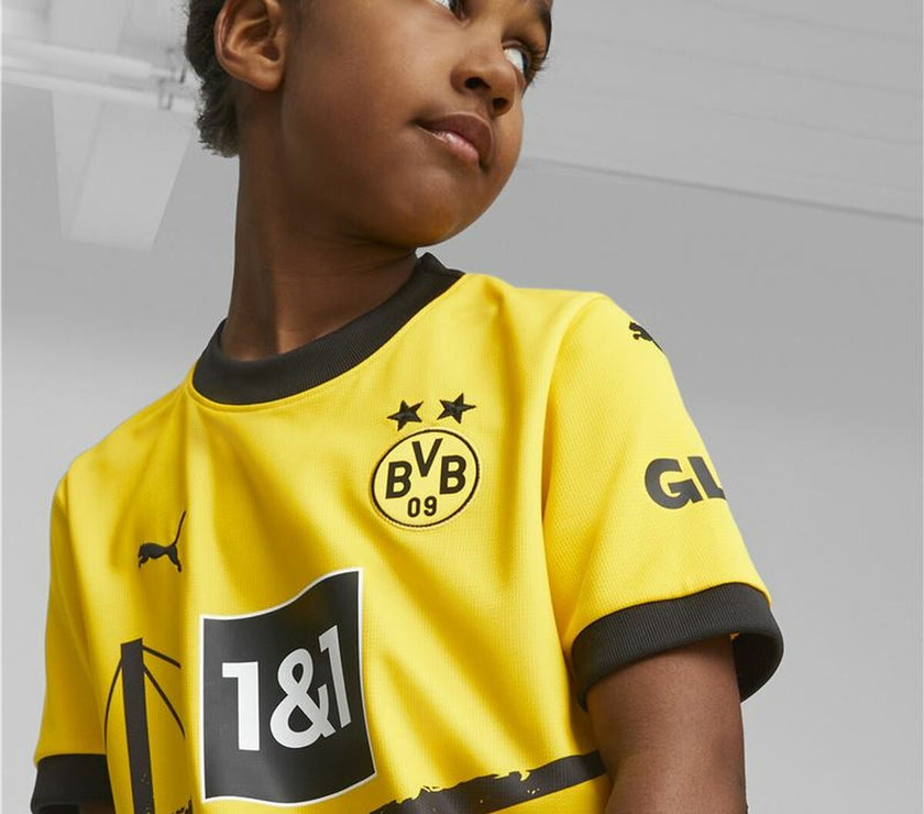 V5H2537F4CC3BB3C21DF0238BF379DA16EER4700076P5