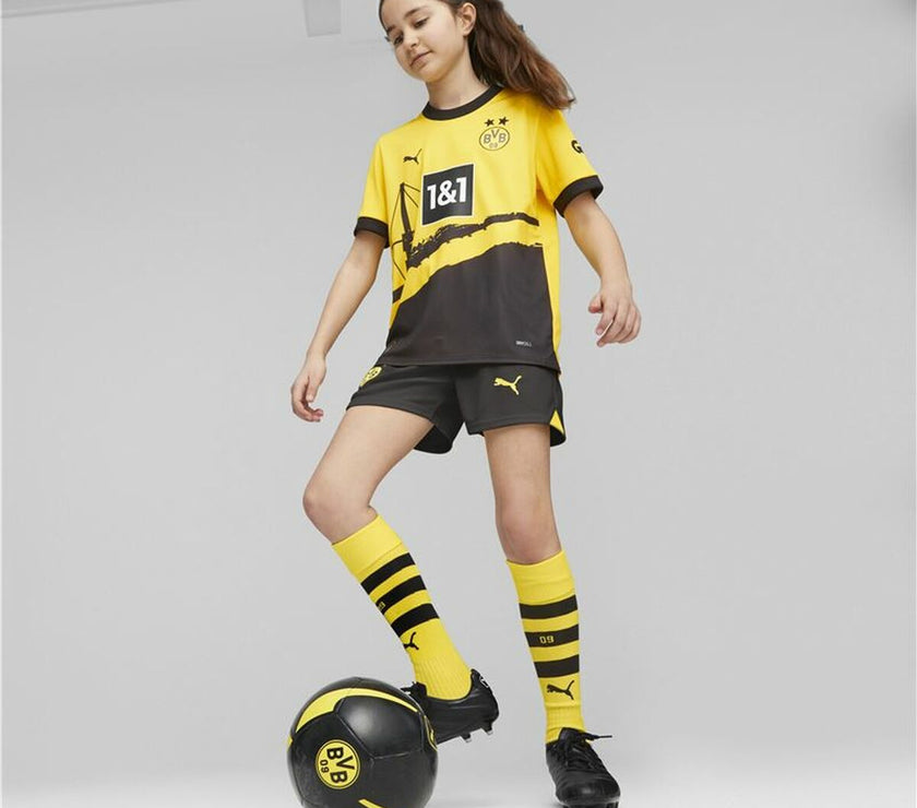 V5HF3780EDA901B6BC60E4110CA1CD7F981R4700077P6