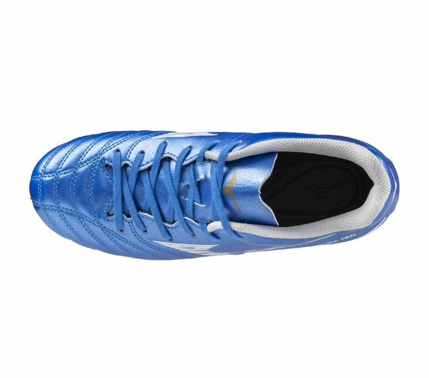 V8H67D948BB9A07D4D590B48A997B1D7905R6632109P4