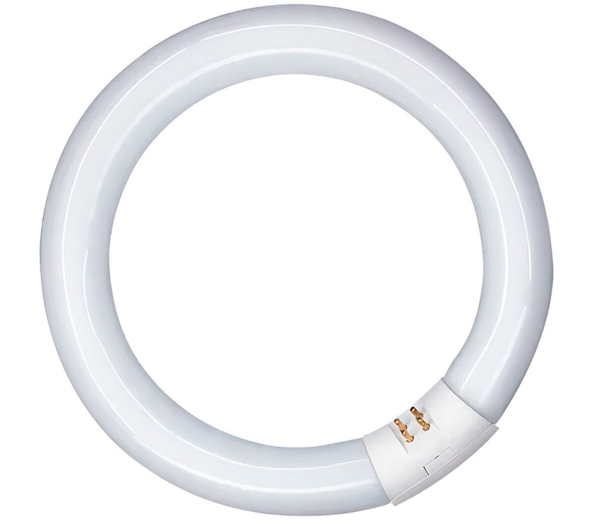 V3HDF474F99FF85C0154A9FEFDCF6F6C098R6788861P1