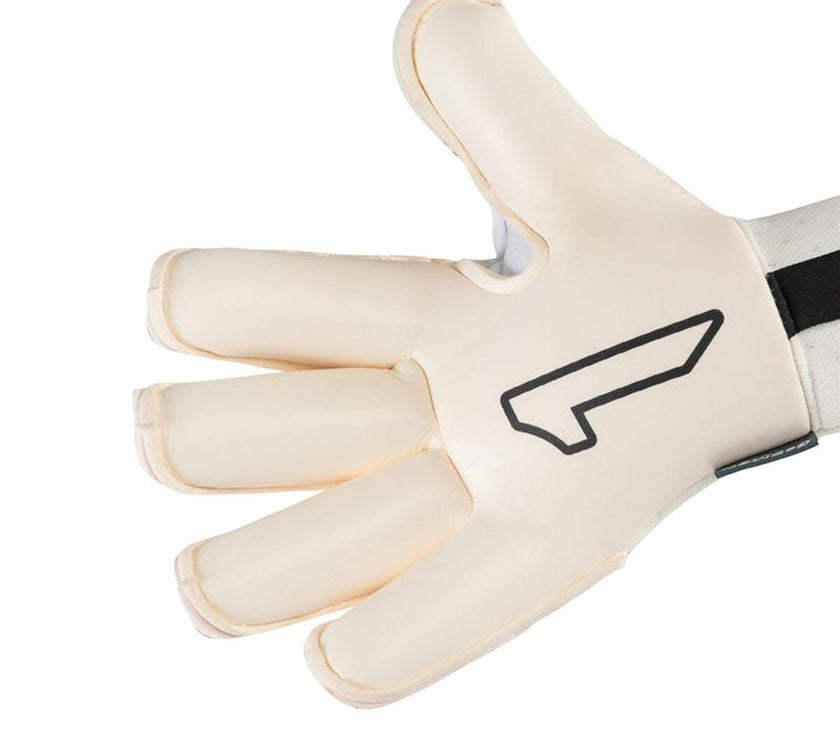 V5HB98C8F068056A1B7ECCC8EEC84F8709AR5009793P3