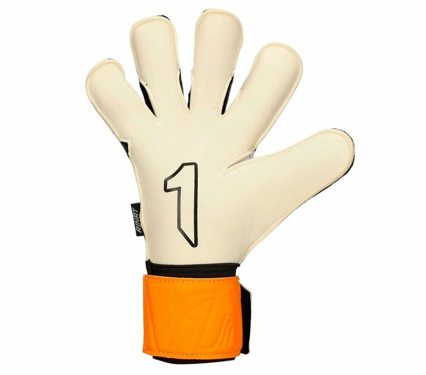 V5HC1C5542C2CFD33B25C8F931F968AEE04R5009589P3