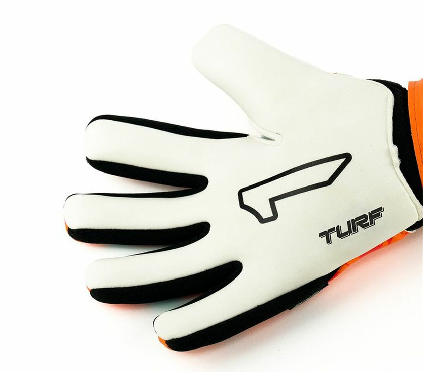 V4H1C4EF35182F17CDC2E077DD6D6A0FDFFR6134922P3