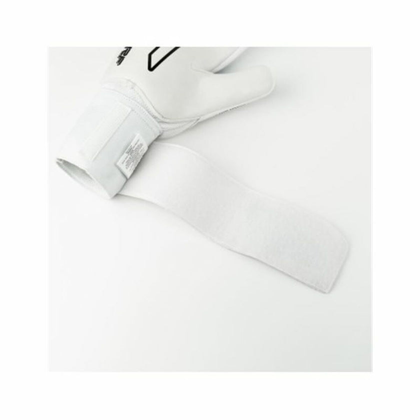 V4H73C1044C4526A1A92111DE14A18D3CA7R6134947P5