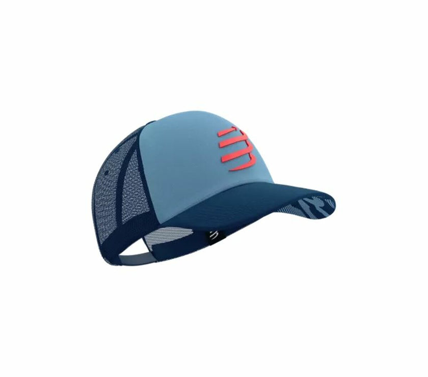 V4HAE12C3C7D0A858A538223AFEE20A1D9AR6869176P1