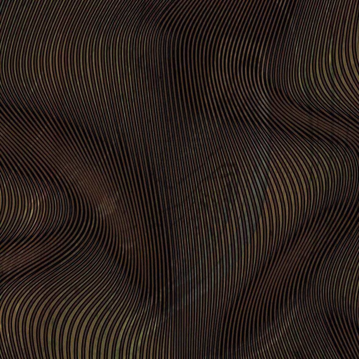 V3H767C2BD2BFC6A2D4FADB070068FA8782R7430169P10