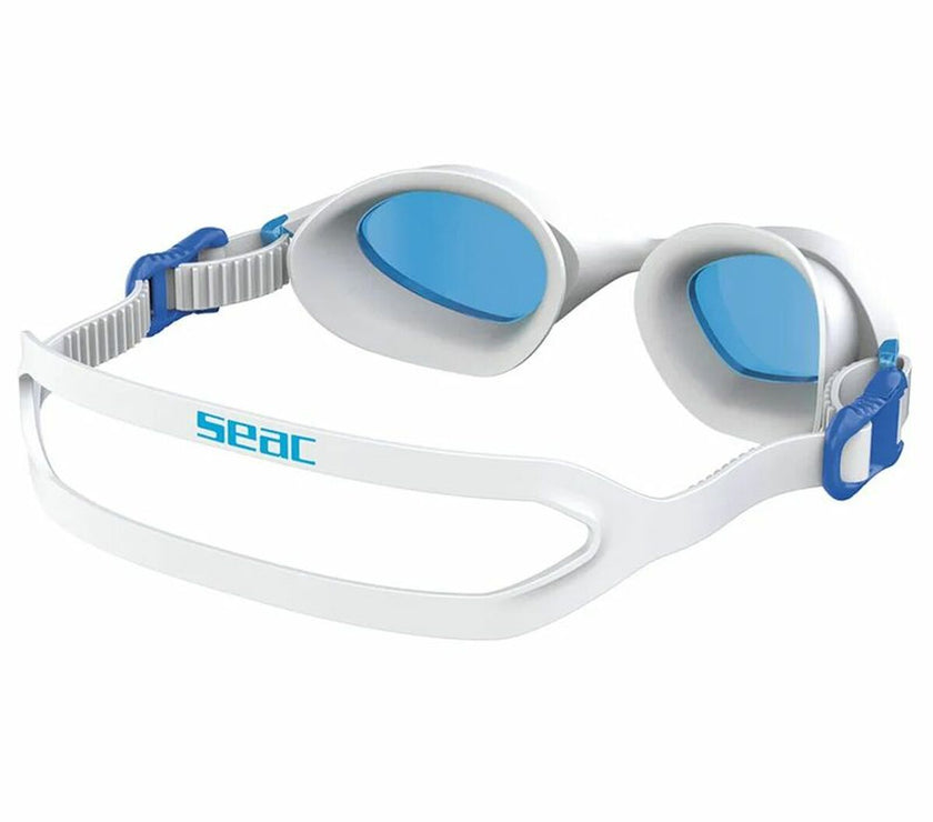 V4H5C9B6A5A012E3BDA2E5352BCBCEA4FDAR6981239P3