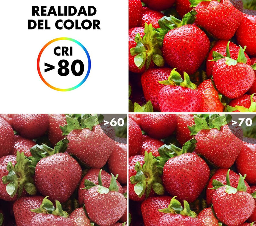 V5H86BE603B5E0BCDA0BE6602A79EB19FC2R4783928P4