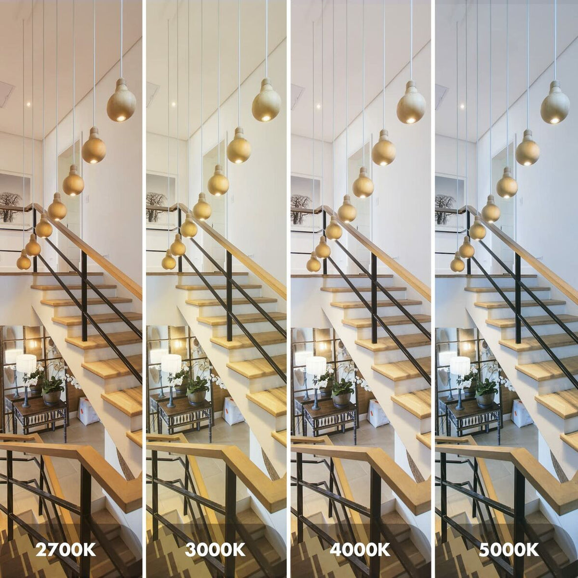 V5H4CECA2D83DC19B82B16BE62B26A9766AR4783929P5