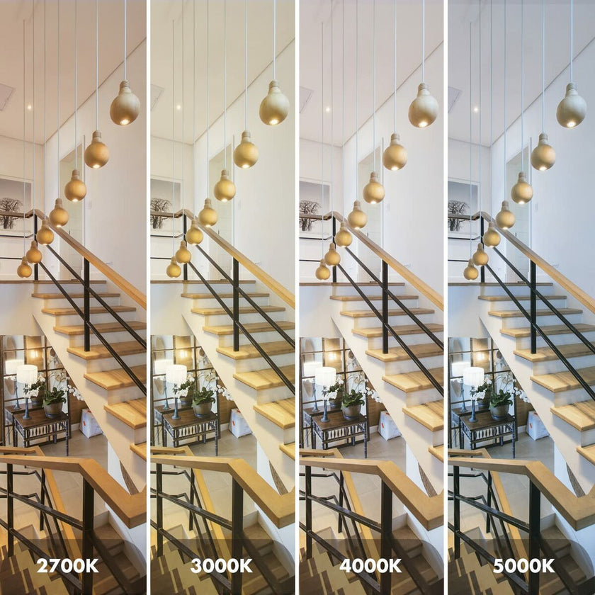 V5H4CECA2D83DC19B82B16BE62B26A9766AR4783929P5