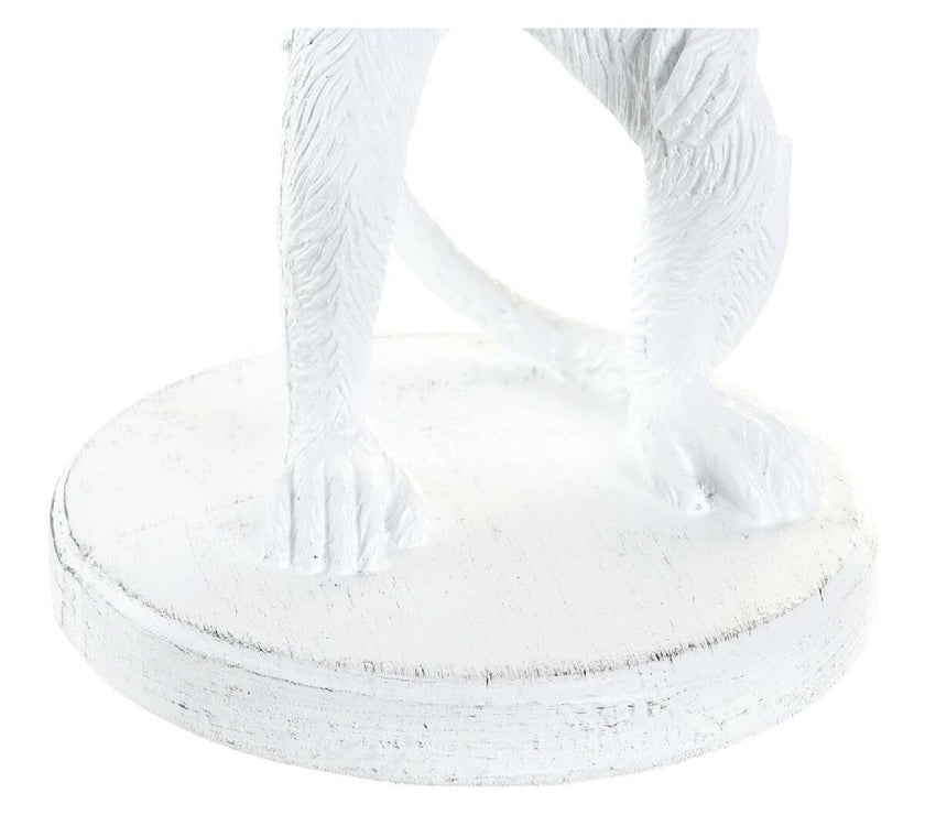 V11H7496753E7F9B88C5536ED50869B839DBR6371086P4