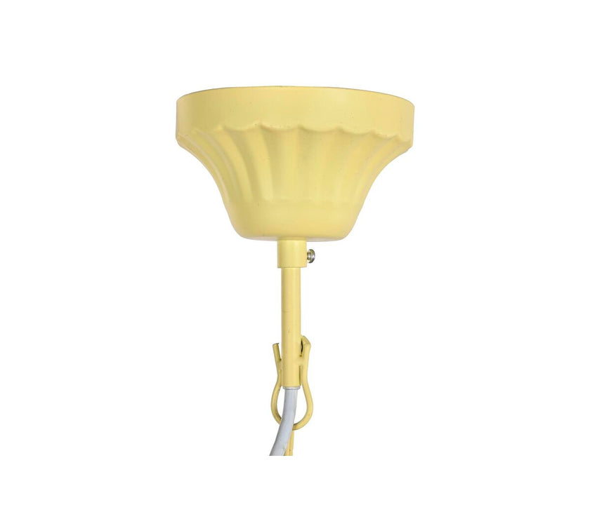 V11H0202F08C2F4818E393B688A6C5725866R6355665P2