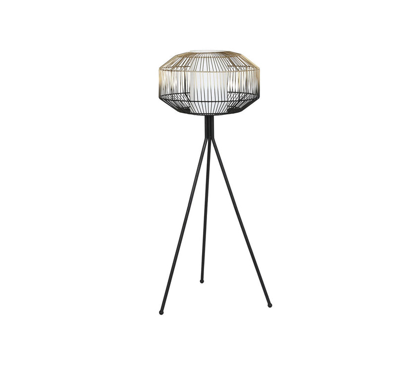 V6HE6F93A6059B976765B29C42786640FEFR2634561P1