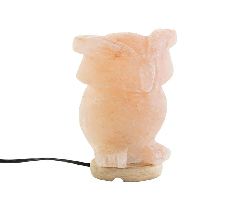 V6HBB831CEF22092B37646C6E4C3CA9E447R4184640P1