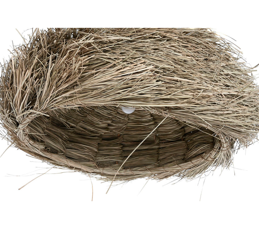 V5H141FC92CEF3D7020E8B9C0A4C5EB6660R5345842P2