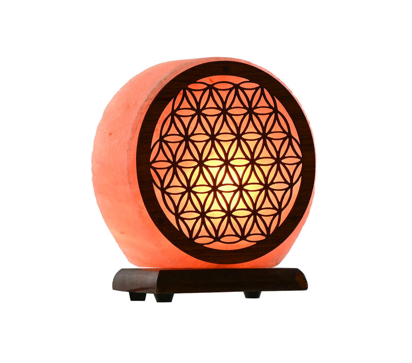 V4HFB54CC633ED7A69D66AC3AB7448546A1R5653153P6