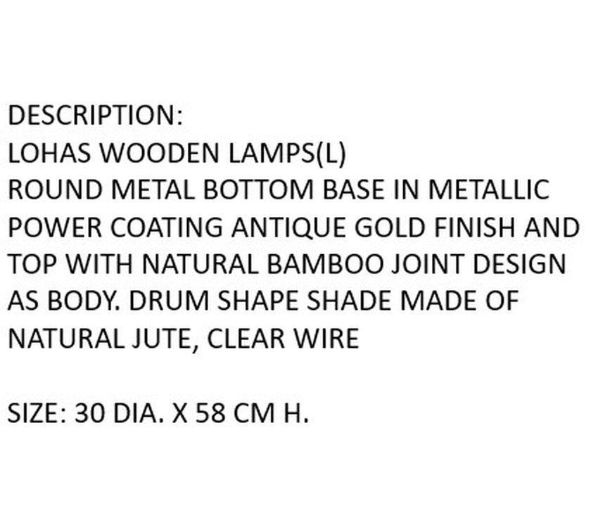 V3H33A6E2A21A8A43F969E44B28E6F98A55R7426950P6