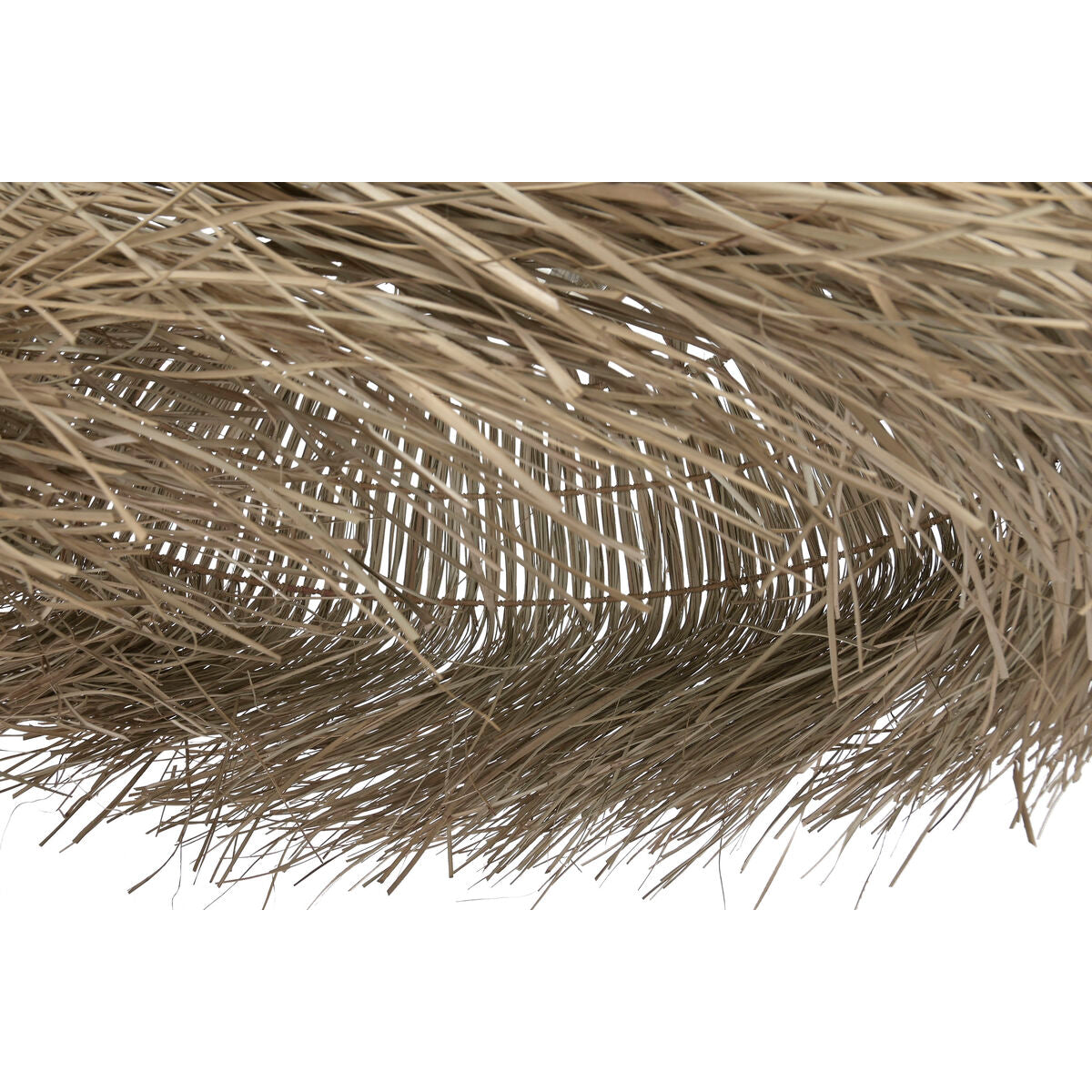 V3H54D44B535504F115897571FCF4AA3925R7472223P6