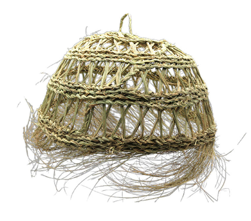 V7H3D7B465AE8E9CCF7C67617BE5C00A5EFR4060906P1