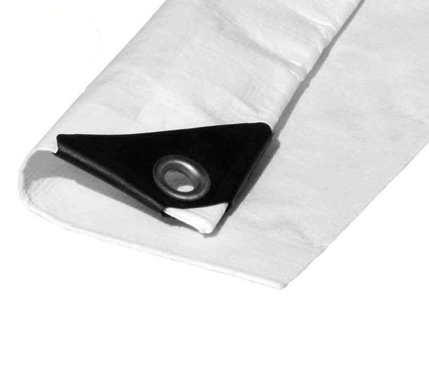 V8HBE28D8A9C06DA73C410B44DC2DC15192R4474873P1