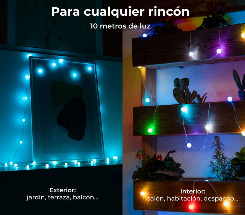 V11HAC444A07D2019ECCACAB7BB59C169446R3946056P10