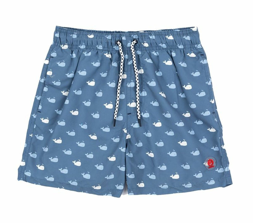 V4H372AD051BFF20E97EA73B55044802B85R5503300P1