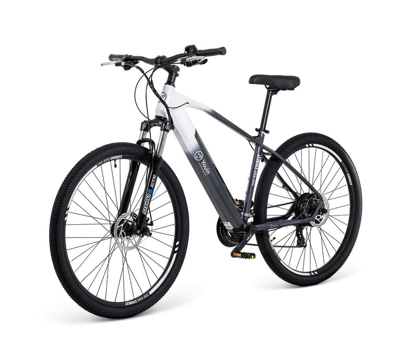 V3HE4622E369EC8F7B447CA3E07DBE38AF1R7415322P8