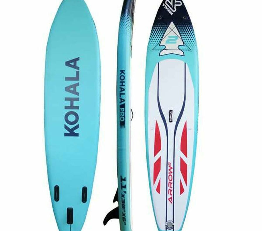 V10HA717D26634C0FF32082A16106683A1B1R4012249P2