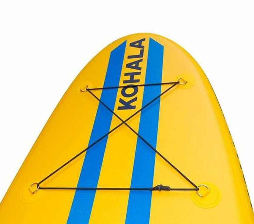 V5HCD1A6926FFF6F3BEEA6BC88339EE3667R4684076P4