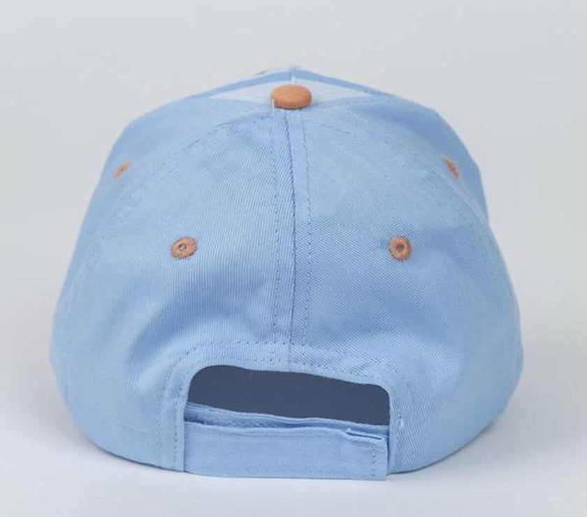 V6H05BCAE5B8D51BA2DCCBA65A24BFAD0E9R7089257P2