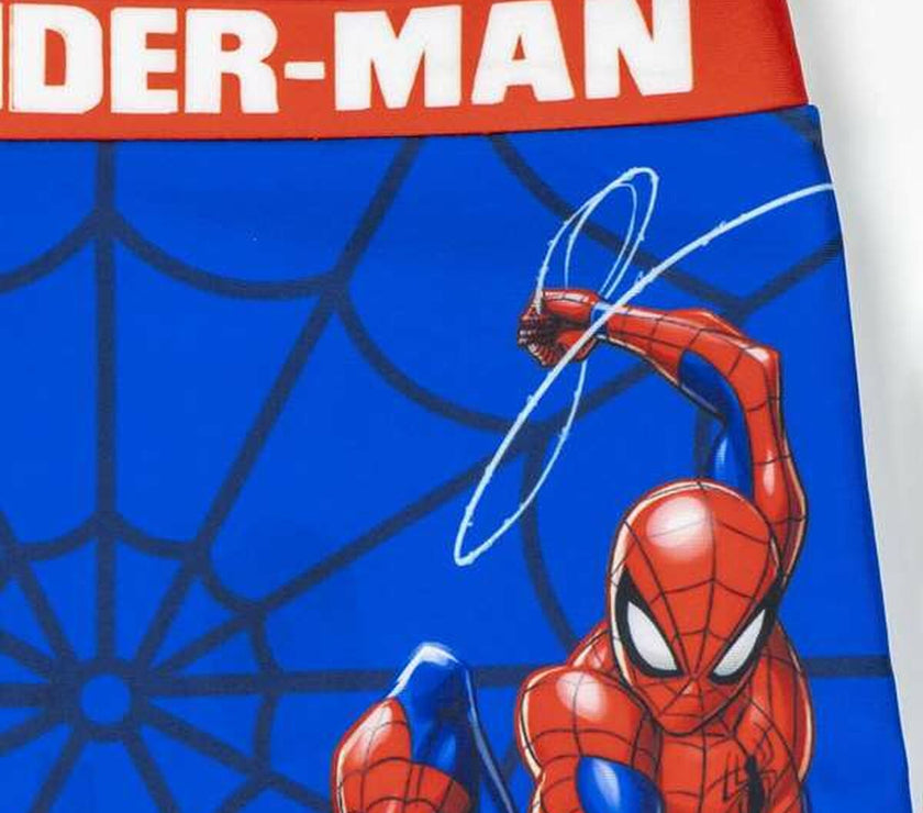 V4H6F13C8C66A8AD868EAB8E6AE4AD31433R4785329P3