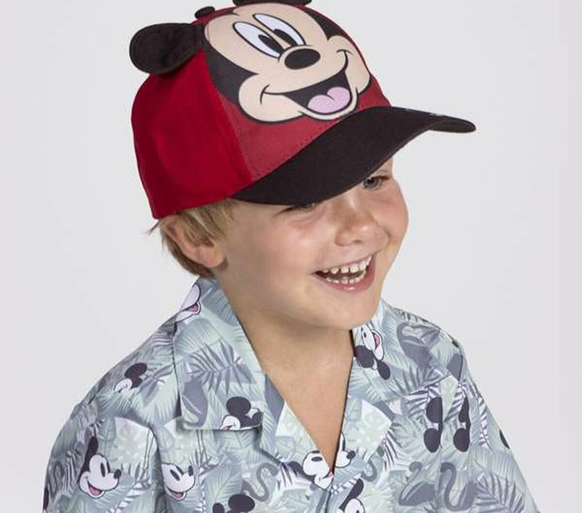 V4H324C085A778230B0155E2C42D3C2A489R5528808P5