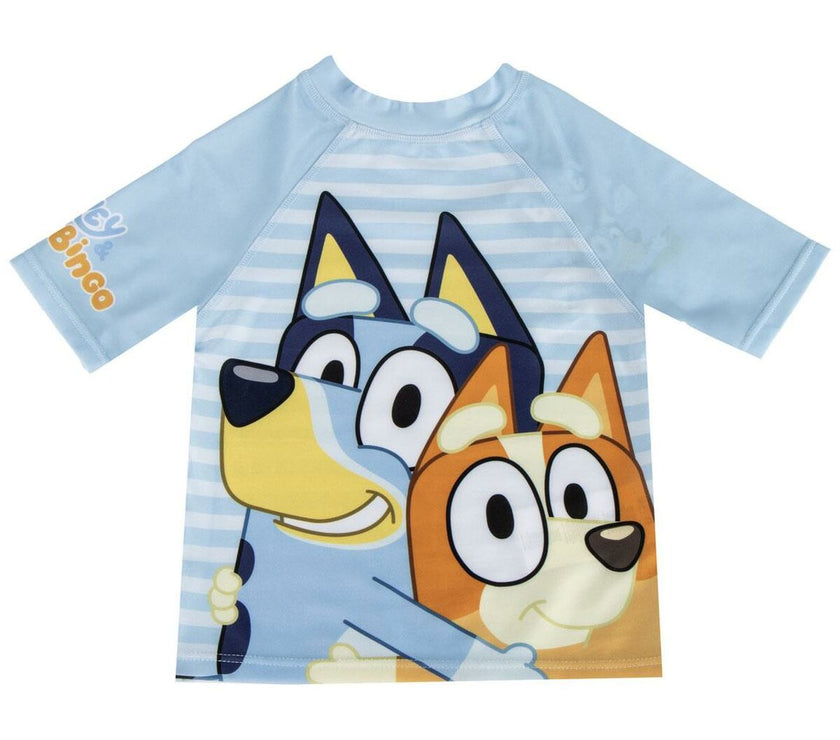 V3HBF527BB19DC2A661772030793D228946R7230661P1