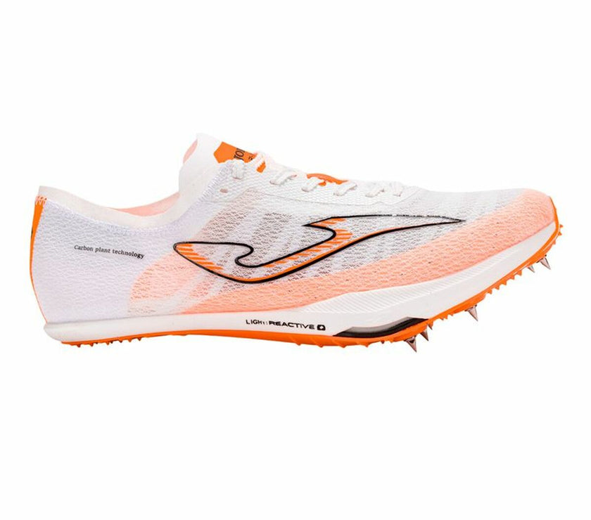 V3H600792905EC69BEEE0227CDA1430AE24R6481991P1