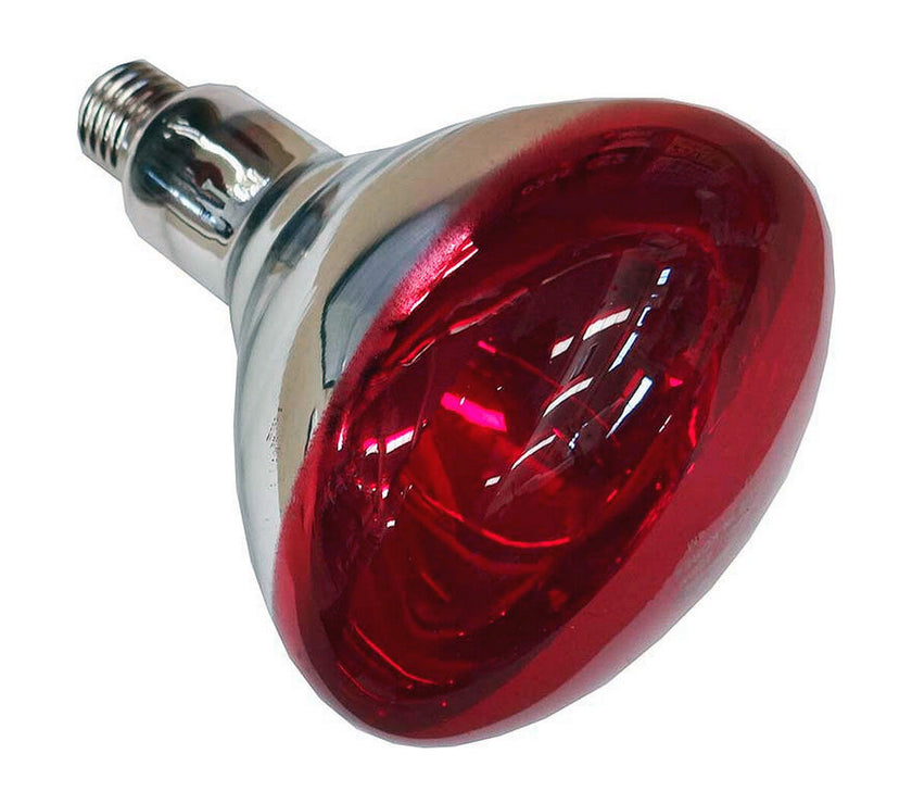 V7HEC7F702CEA01BFA9F06DFC45A60419BCR3870062P1