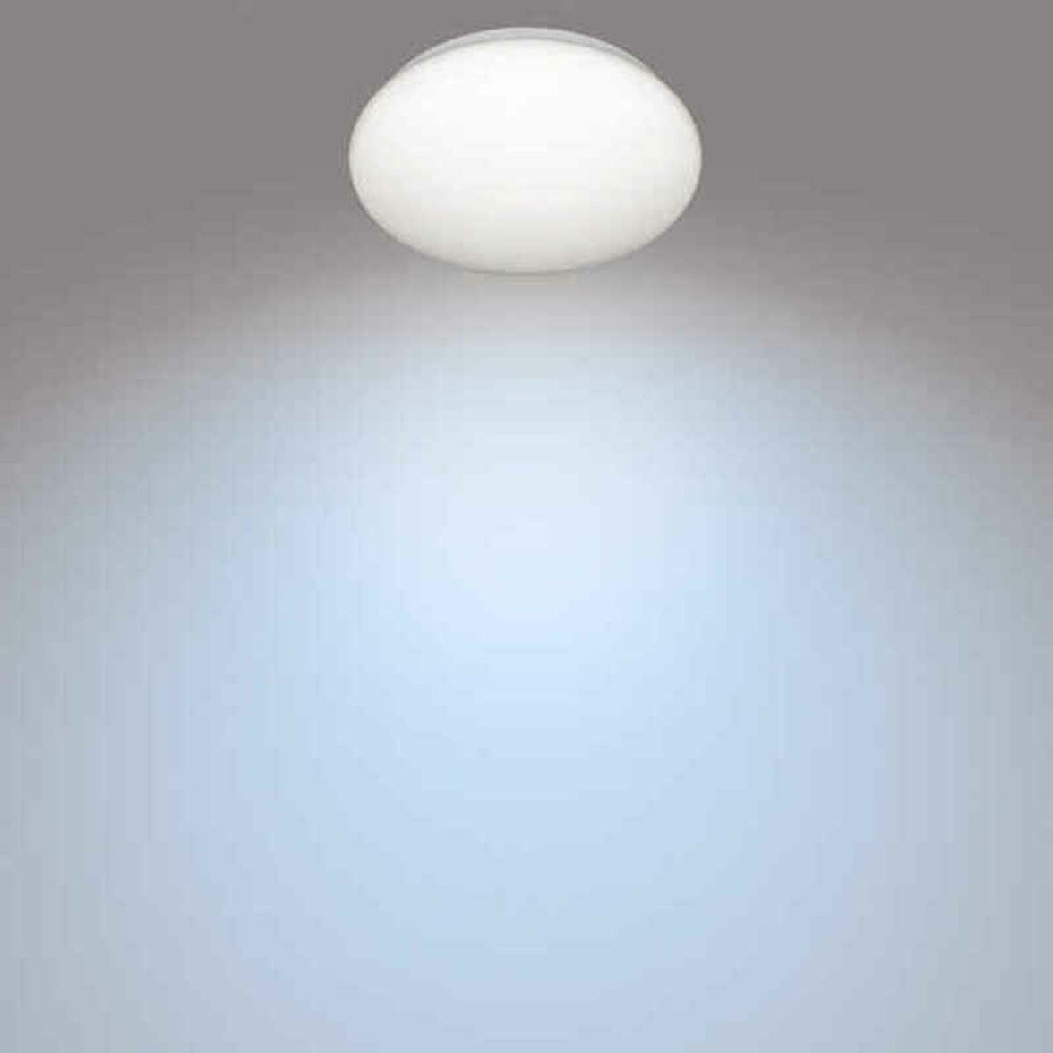 V8HB4DD5384BAABE2375C3DF4FA4A366AA6R4102272P2