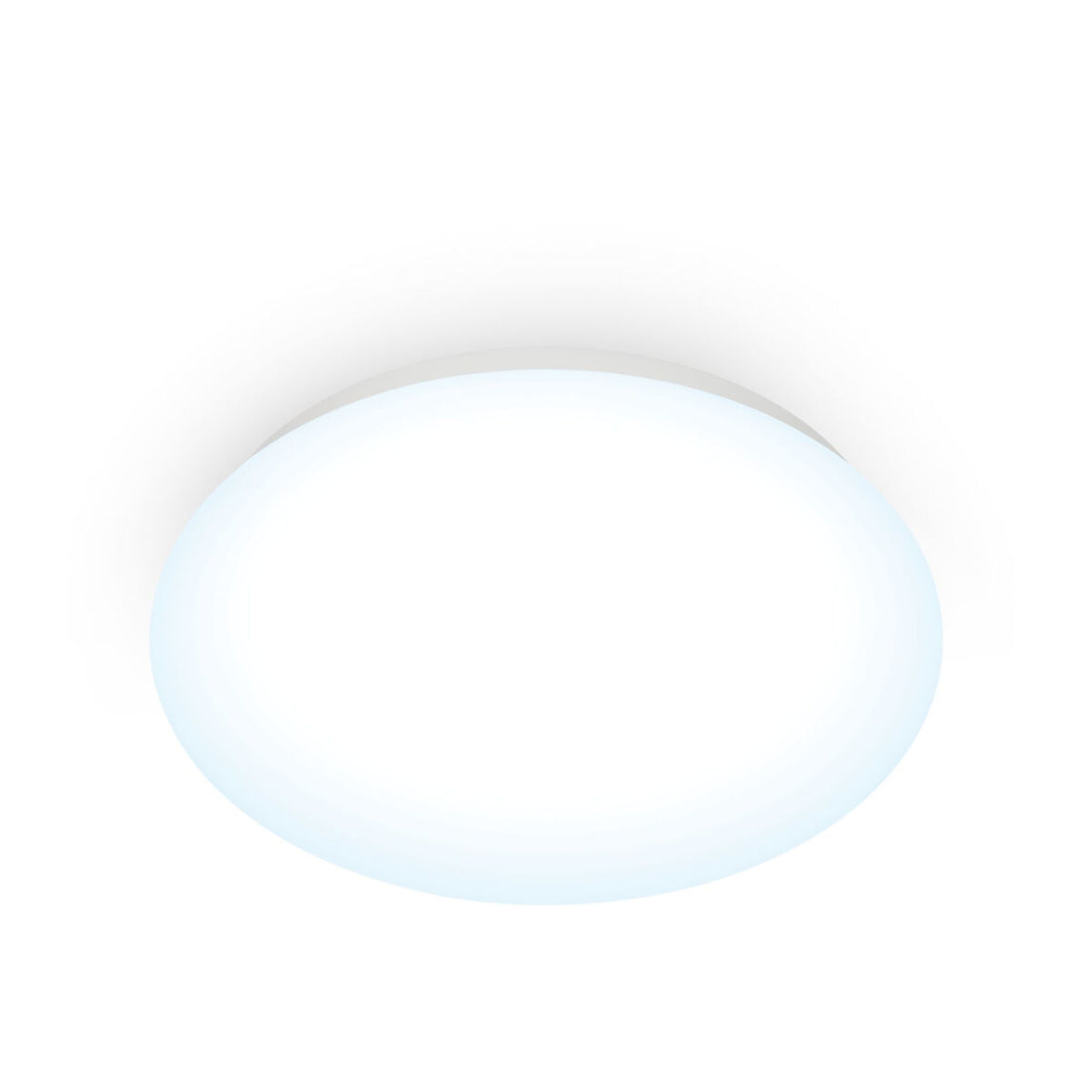 V4H802D64D93DFBA16FCA5933998D01EF86R5817501P2