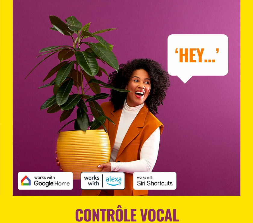 V5H22BD35BA78B758CA1ED077C7DB51CED4R7170009P8