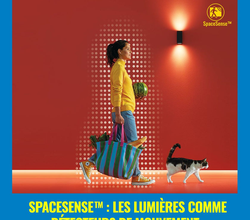 V5H8E169D013C29E71F9C46B722C327A50FR7170019P10