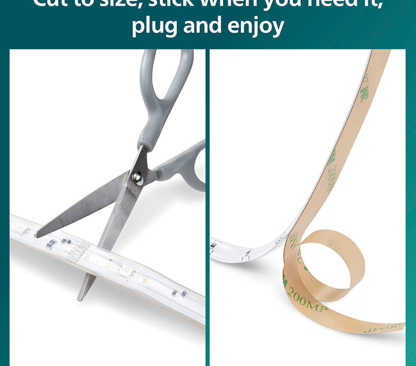 V4H8EED5138F99670F61F2E0DA8859DDED2R5817541P9