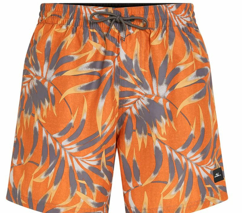 V4H613F34493401B715544C17E334A77B1DR6070812P1